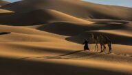 اصل عائلة الديحاني وش يرجع