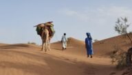 اصل عائلة الشيباني وش يرجع