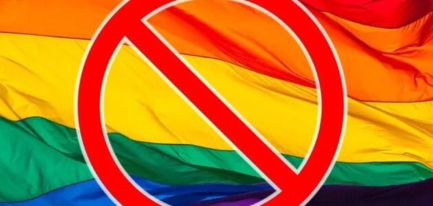 هل الصين تدعم المثلية 1 هل الصين تدعم المثلية