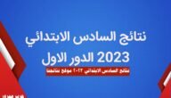 نتائج السادس الابتدائي 2023 موقع نتائجنا كربلاء، بابل، نينوئ، البصرة جميع المحافظات