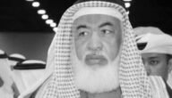 سبب وفاة الشيخ عبدالله الدبّاغ