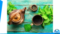 طريقة استخدام عشبة القريص للمفاصل بالخطوات