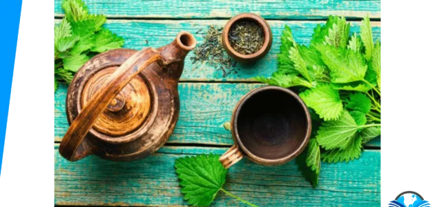 طريقة استخدام عشبة القريص للمفاصل بالخطوات