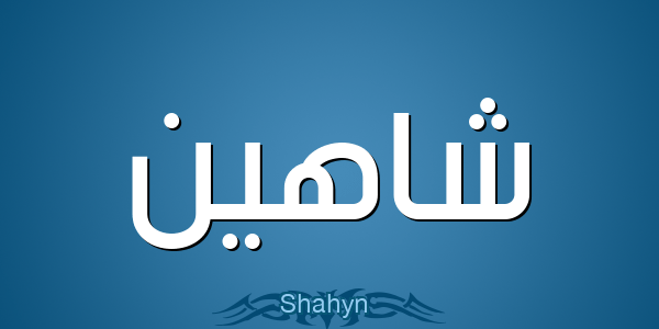 معني اسم شاهين – خليجنا