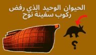 ماهو الحيوان الذي لم يصعد سفينة نوح