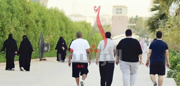 نسبة السمنة في السعودية 2023 1 نسبة السمنة في السعودية 2023