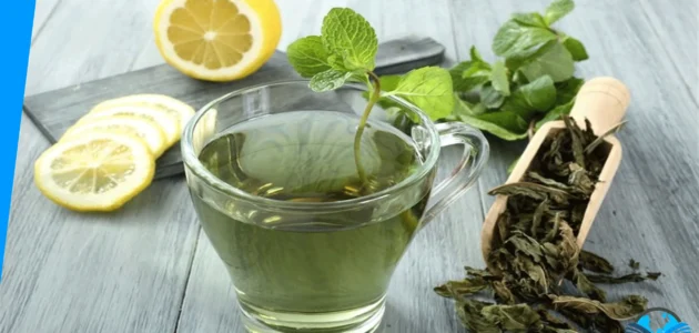 فوائد الشاي الأخضر للكرش والارداف وطريقة الاستخدام الصحيحة