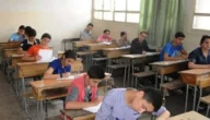نتيجه 5 ابتدائي… نتيجة الصف الخامس الابتدائي 2023 بالرقم القومي من خلال وزارة التربية والتعليم