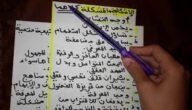 ما الفرق بين المشكل والاشكالية