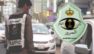 عدد المركبات المسموح لغير السعوديين امتلاكها داخل المملكة 