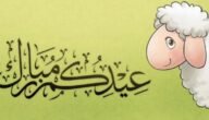 متى بداية اجازة عيد الاضحى 1444 للقطاع الحكومي والخاص – خليجنا