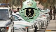 رسوم تجديد الاستمارة 10 سنوات بدون فحص السيارة السعودية 1444