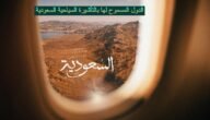 فيزا سياحية للسعودية 1444 .. تعرف على استخراج فيزا سياحية للسعودية