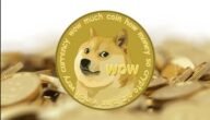 ما هي عملة الدوجكوين Dogecoin الرقمية كل ما تريد معرفته 9 ما هي عملة الدوجكوين Dogecoin الرقمية كل ما تريد معرفته