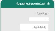 استعلام عن تأشيرة برقم الهوية بالسعودية 1444