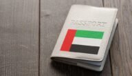 الاستعلام عن تأشيرة دبي برقم الجواز 1444