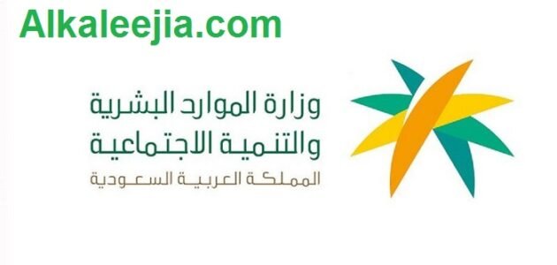 خطوات الاستعلام عن تأشيرة عمالة منزلية بالسعودية 1444