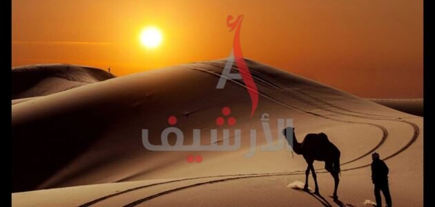 البهيجي من اي قبيله – موقع خليجنا