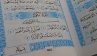 من هو المقصود بهذه الاية ان شانئك هو الابتر