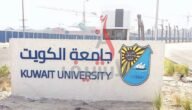 كم نسبة النجاح في اختبار القدرات جامعة الكويت 2023