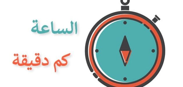 كم نصف ساعة في اليوم
