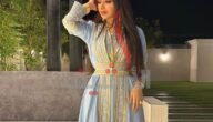 من هو زوج دانيا الشافعي ويكيبيديا