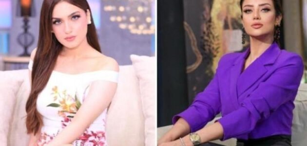 ما هو سبب خلاف رضوى الشربيني مع ياسمين عز – خليجنا