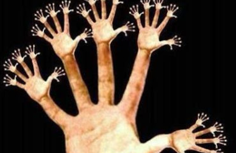 كم اصبع في الصورة – خليجنا