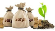 ما بين الفريضتين في الزكاة يسمى – خليجنا