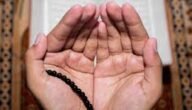 دعاء التوبة من الذنب المتكرر ابن باز – خليجنا