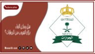 هل يمكن الغاء بلاغ الهروب من الجوازات؟ طريقة إلغاء بلاغ الهروب بعد القرار الجديد