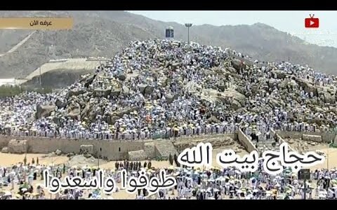 حجاج بيت الله طوفوا واسعدوا كلمات – خليجنا