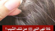 لماذا نهى الرسول عن نتف الشيب – خليجنا