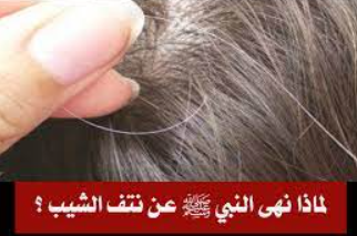 لماذا نهى الرسول عن نتف الشيب – خليجنا