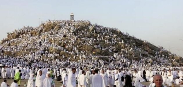 انا لست في الحجاج يارب الورى كلمات