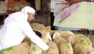 حكم الهدي على المتمتع والقارن في الحج – موسم الحج 2023