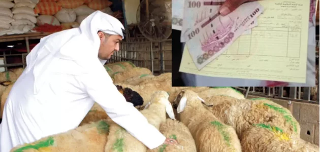 حكم الهدي على المتمتع والقارن في الحج – موسم الحج 2023