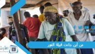 من أين جاءت قبيلة الفور؟ من هم سلاطين الفور؟