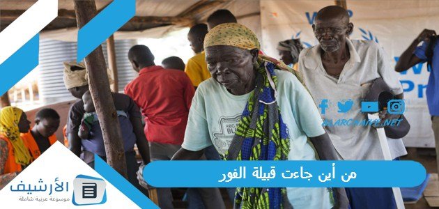 من أين جاءت قبيلة الفور؟ من هم سلاطين الفور؟