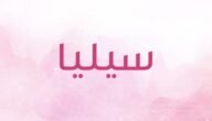 ما معنى اسم سيليا في القران