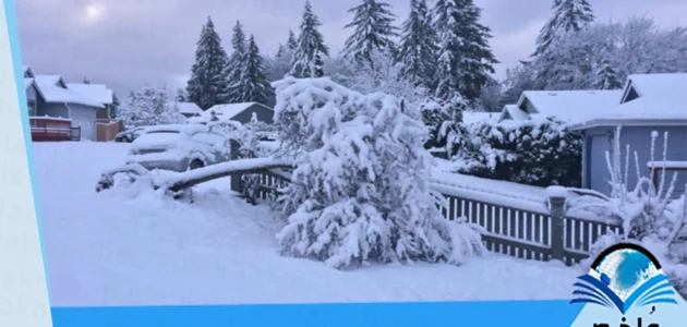 تفسير رؤية الثلج في المنام للمتزوجة والعزباء لابن سيرين