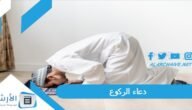دعاء الركوع.. حُكم الدعاء في الركوع والسجود أثناء الصلاة