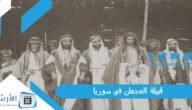 قبيلة العجمان في سوريا.. أبرز القبائل العربية في سوريا