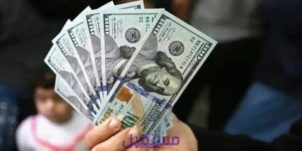 ’’من هنا’’ رابط فحص المنحة القطرية 100 دولار برقم الهوية 2023 query.gov.ps