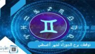 توقعات برج الجوزاء لشهر أغسطس آب 2023 ماغي فرح