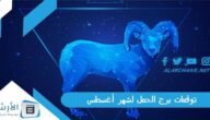 توقعات برج الحمل لشهر أغسطس آب 2023 ماغي فرح