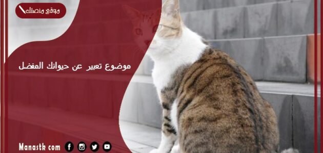 موضوع تعبير عن حيوانك المفضل بالعناصر مع المقدمة والخاتمة جاهز للطباعة