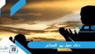 دعاء جميل يهز المشاعر.. دعاء يهز القلوب وتدمع له العيون