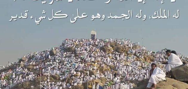 قراءة اي سورة في يوم عرفة