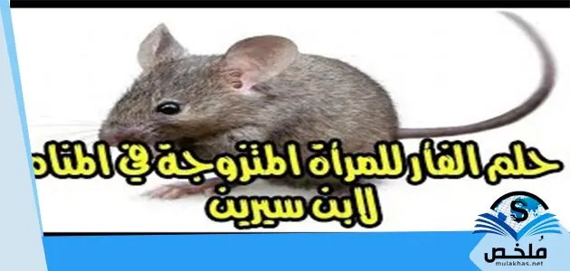 تفسير رؤية الفئران في المنام للمتزوجة والعزباء لابن سيرين